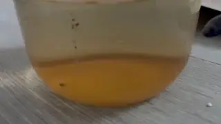 Hauskauf Bauvlog 13   Das Wasserproblem