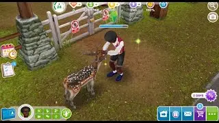 Feeding Deer Vacationer's Guide To The OutDoors Discovery Quest The Sims FreePlay