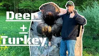 BEST Food Plots For Deer And Turkey EP3