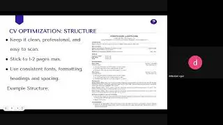 CV Optimization and Cover Letter