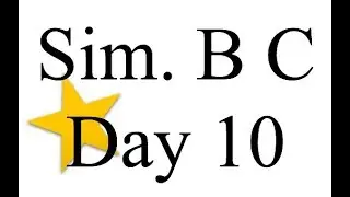 Sim. B C Day 10
