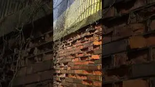 Water and ice damage is real bad on your brick and concrete.
