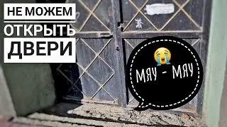Котенок замурован ЗАЖИВО😱. 1 часть.