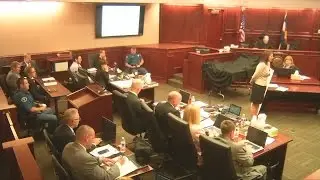 Phase 2 closing arguments from the defense