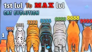 LEVEL UP CAT EVOLUTION || 1st level To 9999 level (MAX LEVEL) ||