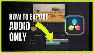 How to Export Audio Only from DaVinci Resolve