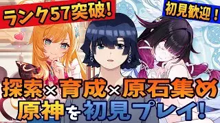 【原神】ランク57突破！ヴァレサとシロネンの育成！コロンビーナとサンドローネとアリスとニコとヌヴィレットとファルカとイネファとシグウィンと雷電将軍と八重神子と心海に向けて原石集め！