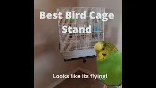 Best Bird Cage Stand