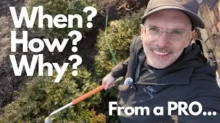 Winter Watering Guide: When, How & Why to Water Your Landscape Plants!