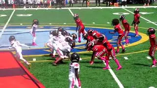 9u Lauderhill Broncos DineroBoyz vs Boynton Beach Bulldogs - Week 8 AYFL