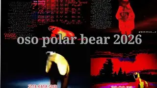 El Meme Que Predijo a Los Osos Polares En 2026