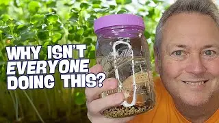 How to Grow Fresh Veggies WITHOUT a Garden