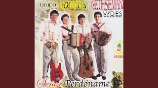 La Flecha Malvada