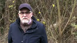 Chauny - For&ecirc;t urbaine