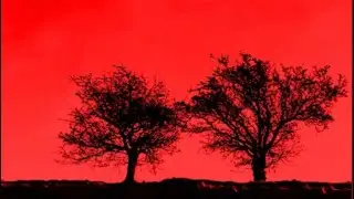 Paranoia Blues &middot; Jon Allen