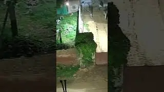 Earthquake in jaipur today 🥺🥺 #todaynews #jaipur #earthquake
