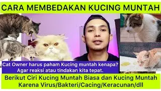CIRI-CIRI KUCING MUNTAH BIASA DAN KUCING MUNTAH KARENA VIRUS BAKTERI CACING DLL YANG BERBAHAYA