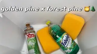 ASMR Xtra Pine + Pine Fabuloso combo 🍯🌲