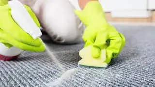 Stain Removal Brisbane | Professional Carpet & Upholstery Stain Cleaning by Eco Experts