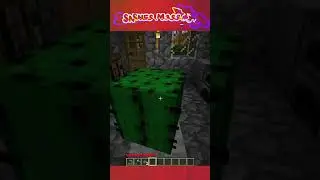 Unique Quirks of Older Minecraft #shorts