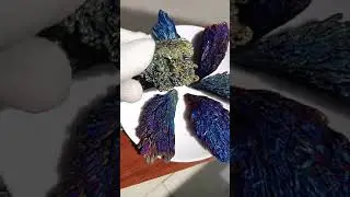 Electroplated black tourmaline blue flame feather crystal cluster
