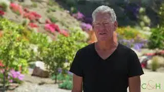 San Diego Landscape Designer C&H Gardens - San Diego Luxury Landscaping