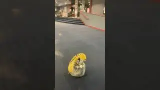 Church carpet dyeing video #1