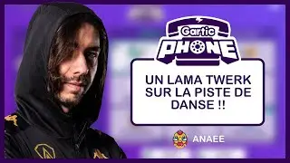 C'EST ÇA LE SEUL PROBLÈME DU LAMA ?! - Gartic Phone