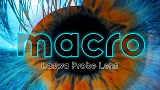 LAOWA PROBE LENS - VERTICAL MACRO B ROLL - SONY A7S iii 4K