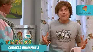 OTV T20 PGM17 PISO COMPARTIDO 3 COBAYAS HUMANAS