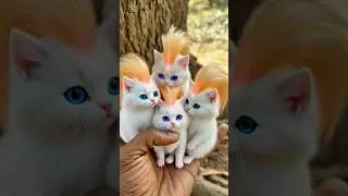 Котята только что запрыгнули на пальму #животные #фантазия #Aitouch