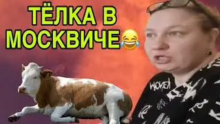 ТЁЛКА В МОСКВИЧЕ😆 ОЛЬГА ИЗ ЗАУРАЛЬЯ. ОБЗОР. 