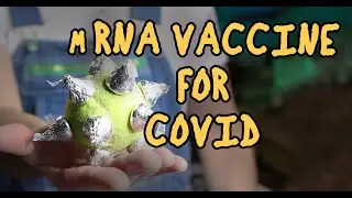 Pfizer And Moderna mRNA Vaccine for COVID Explained