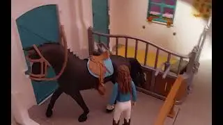 Pferde verkauf  die horse club M&auml;dels suchen ein neues Pferd wird es gut oder schlecht laufen TEIL 1