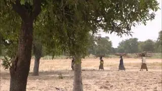 Lasso Diabate & Kady Jolie (Karamo Solo)