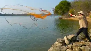 Throw net fishing Ep.38