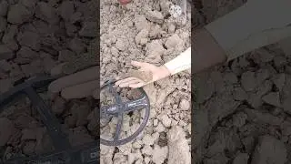 #metaldetecting #metaldetectors #shorts #youtubeshorts