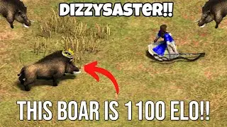 The 1100 ELO Boar on Land Nomad 😭 | Age of Empires 2 Dizzysaster