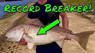 Catching Your Biggest Fish Is As Simple As THIS! (Bank Fishing and Record Breaking!)