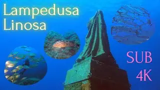 Lampedusa & Linosa Dives 2022 - Immersioni Sub in 4K