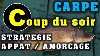 PECHE CARPE : COUP DU SOIR EN RIVIERE ( PECHE RAPIDE )