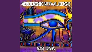 528 DNA