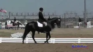142D Robert Kellerhouse on Reine Noire Open Beginner Novice Dressage FCHP April 2017