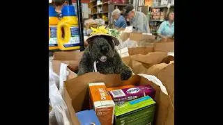 Mount Joy Minnie at the Mount Joy Food Bank 2025