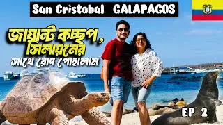 Giant tortoise Enclosure | The Most Mind-Blowing Islands on Earth - Galapagos island | San Cristobal