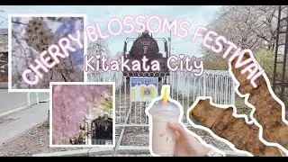 Old railway, 1000 sakura trees, festival, bbq, milktea | Fukushima, JAPAN 🇯🇵 | Hanami experience