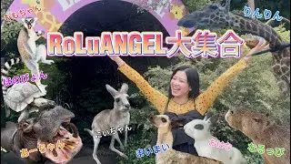 【旅企画】れなち、旅をする。動物園でRoLuANGELが大集合しました。