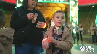OKC ZOO SAFARI LIGHTS