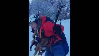 Der erste kleine Flug mit Hund 🐕 Am &Uuml;bungshang. #fliegenmitHund #gleitschirmfliegenmitHund