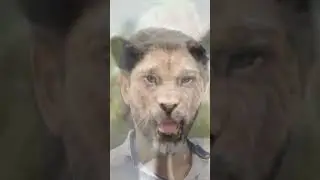 🥀allu arjun tiger shorts video # viral # 4k shorts status # tranding..#26